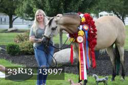 23R13_13997 thumbnail